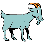 Goat
